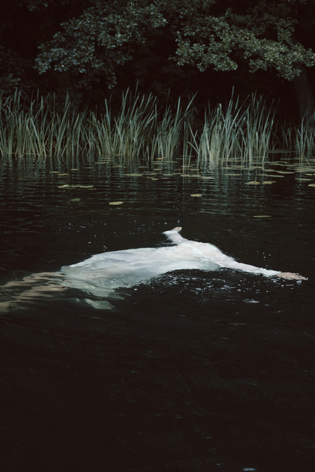 Random Encounters, image 23 — Ritty Tacsum