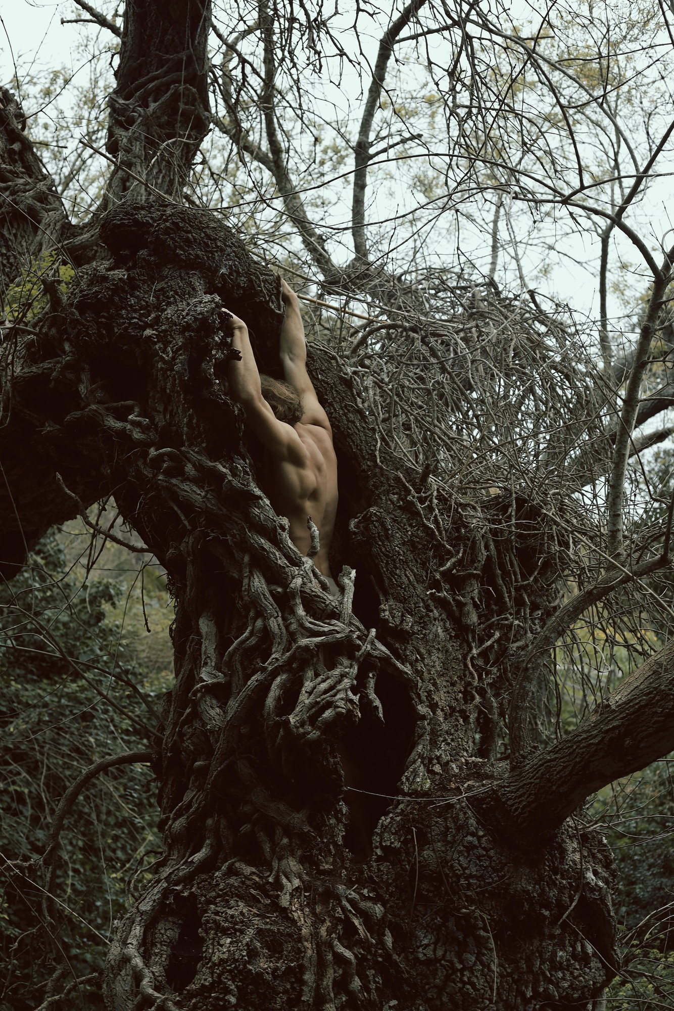 Random Encounters, image 30 — Ritty Tacsum