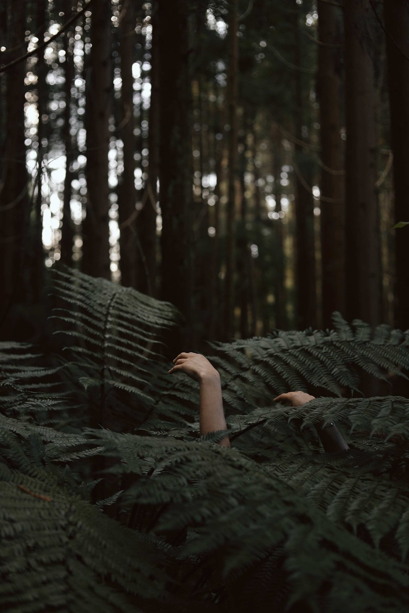 Random Encounters, image 19 — Ritty Tacsum