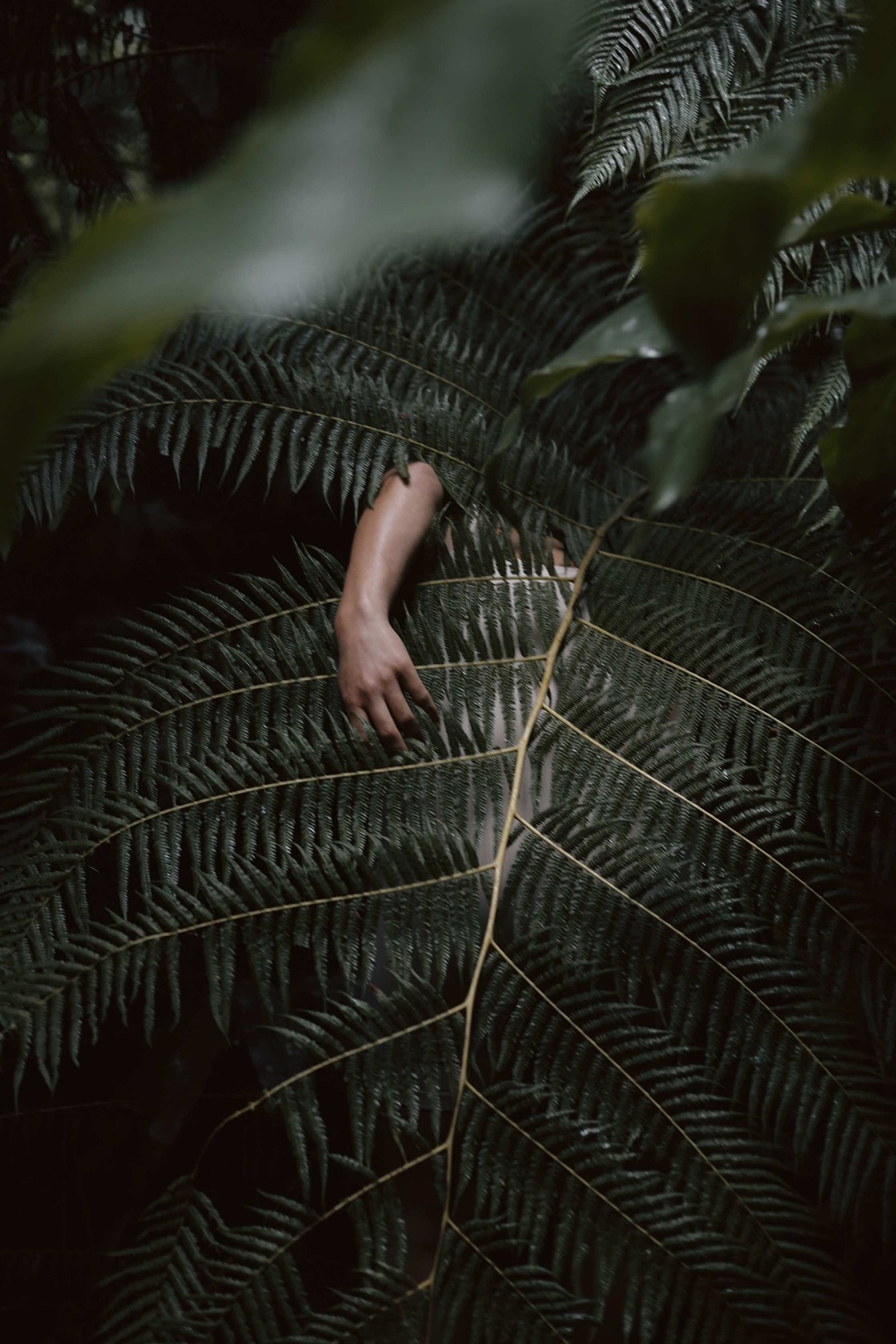 Random Encounters, image 12 — Ritty Tacsum