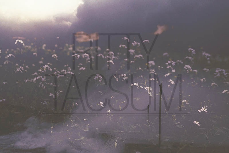 Another Landscape, image 24 — Ritty Tacsum