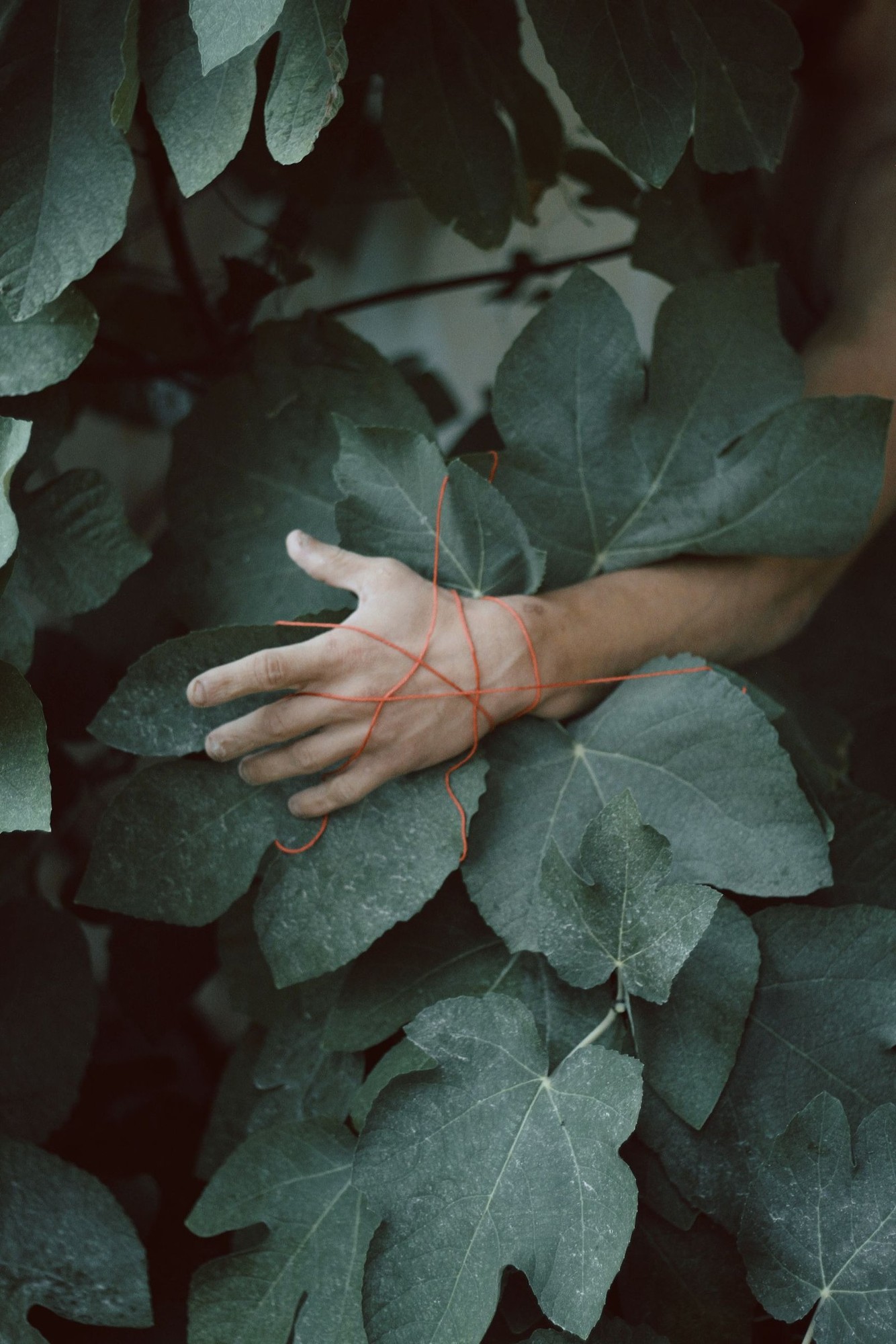 Random Encounters, image 40 — Ritty Tacsum