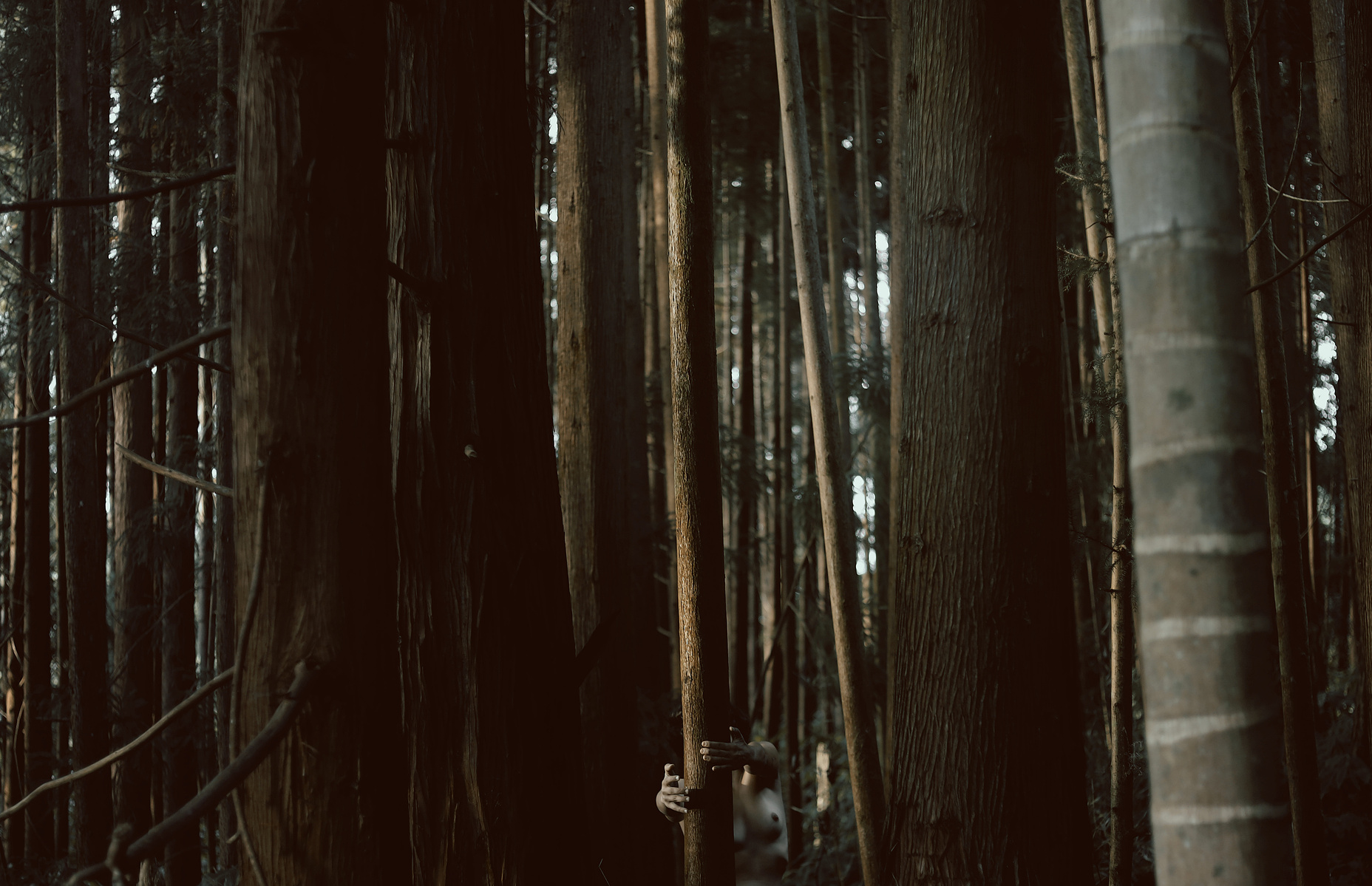 Untitled V — photograph by Ritty Tacsum