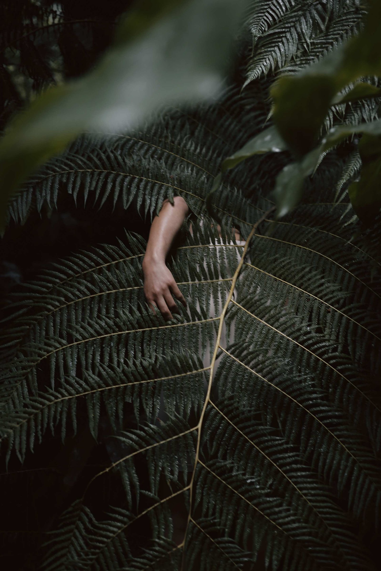 Untitled IX — photograph by Ritty Tacsum